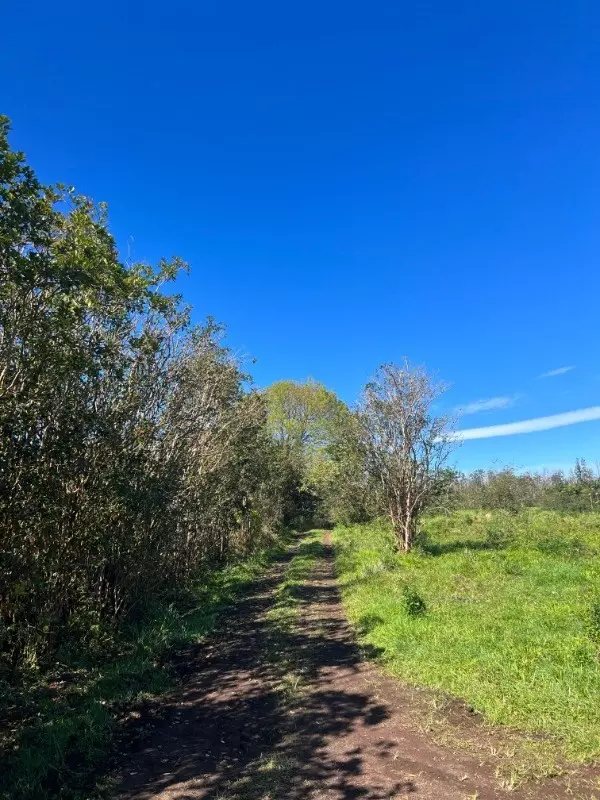 15-275 NORTH RD,  Pahoa,  HI 96778