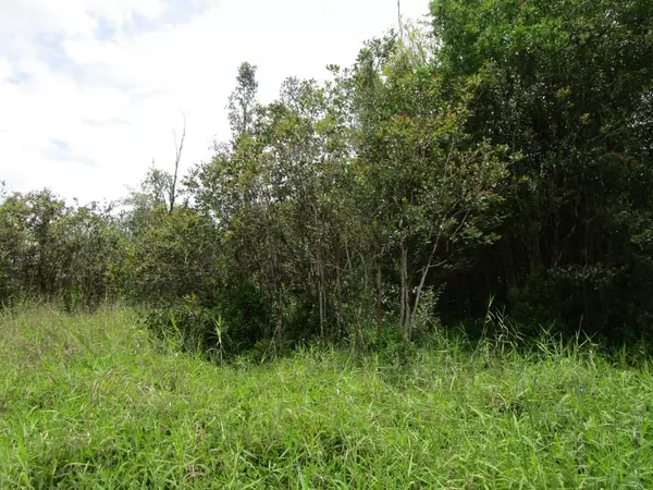 POHAKU CIRCLE, Kurtistown, HI 96760