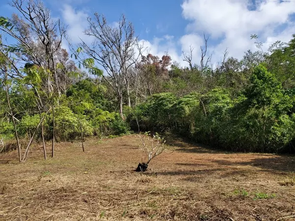 Captain Cook, HI 96704