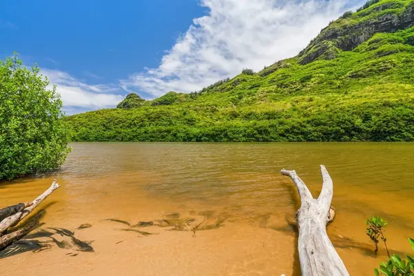 2321-K NIUMALU RD, Lihue, HI 96766