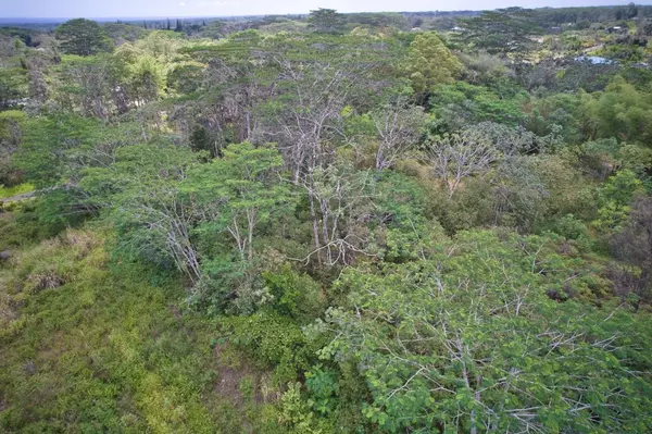 Kurtistown, HI 96760,16-1388 36TH AVE