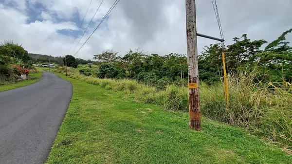 Captain Cook, HI 96704