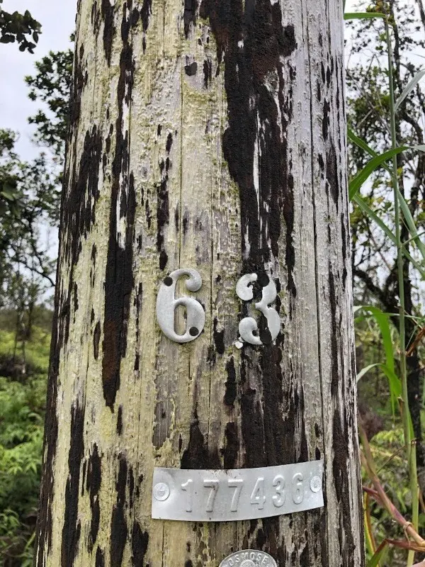 KALEPONI DR, Mountain View, HI 96771