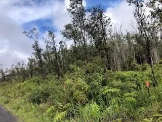 KALEPONI DR, Mountain View, HI 96771