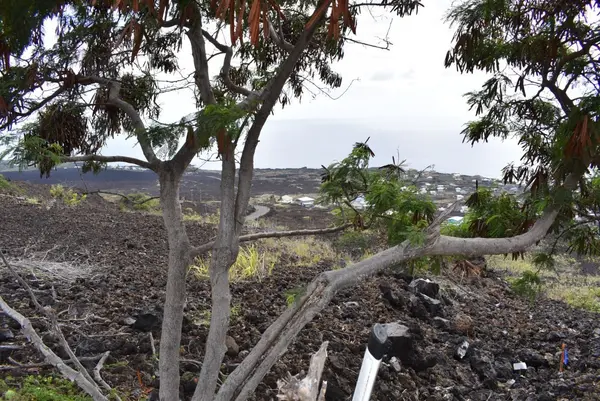 Captain Cook, HI 96704,MILOLII RD