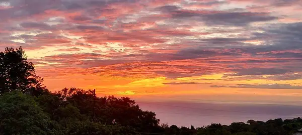 81-1010 ST JOHNS RD, Kealakekua, HI 96750