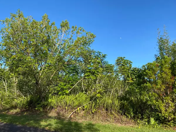 MOANIALA ST, Pahoa, HI 96778