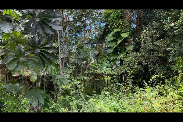 S LALAKEA ST, Pahoa, HI 96778