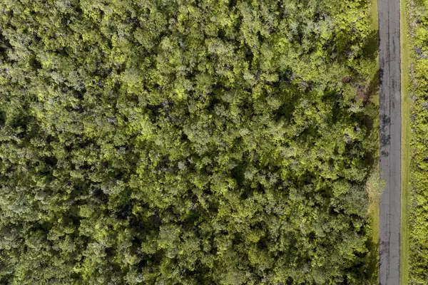 Volcano, HI 96785,11-3245 PA ALII ST