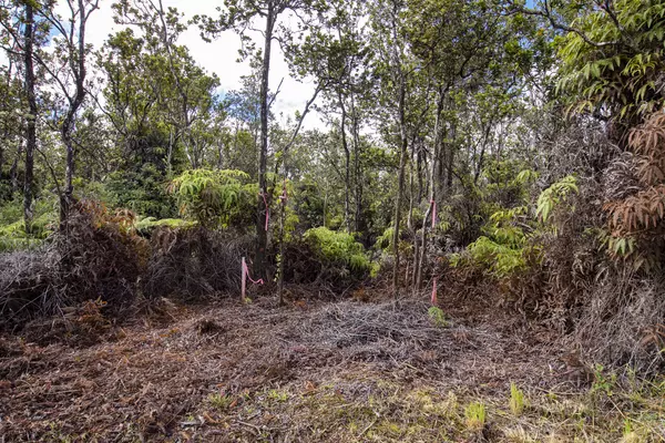 Volcano, HI 96785,11-3245 PA ALII ST