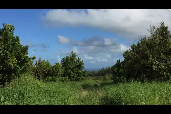 Hilo, HI 96720
