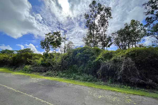 Kurtistown, HI 96760,PARADISE CT