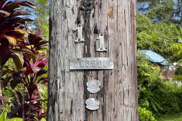 Kurtistown, HI 96760,PARADISE CT