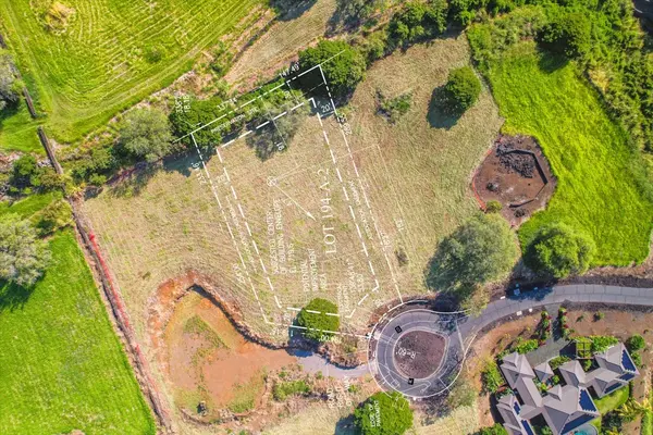 PALENA PL, Kealakekua, HI 96750