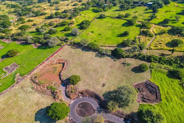 PALENA PL, Kealakekua, HI 96750