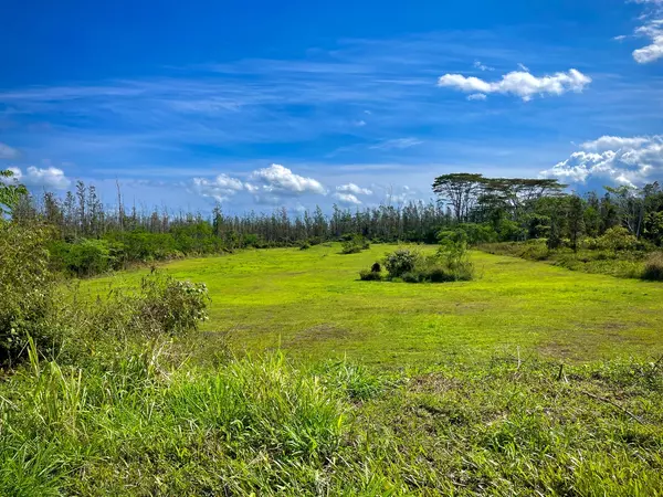 Kurtistown, HI 96760,16-533 AULII ST