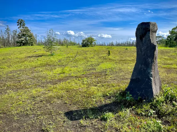 Kurtistown, HI 96760,16-533 AULII ST