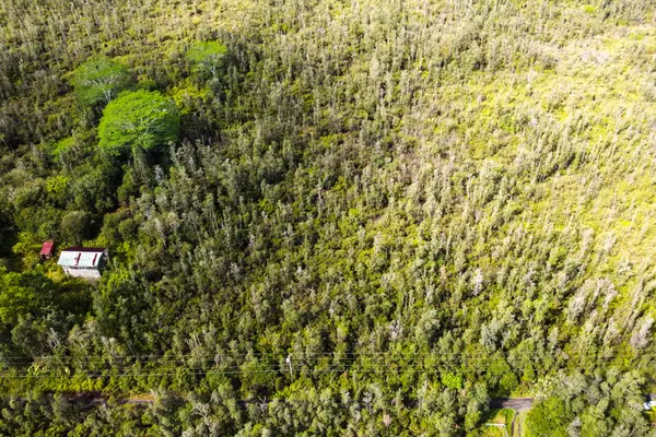 Kurtistown, HI 96760,ROAD 11 (PULELEHUA)