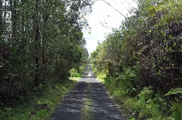 ROAD 11 (PULELEHUA), Kurtistown, HI 96760