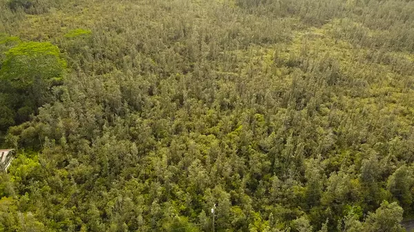 Kurtistown, HI 96760,ROAD 11 (PULELEHUA)