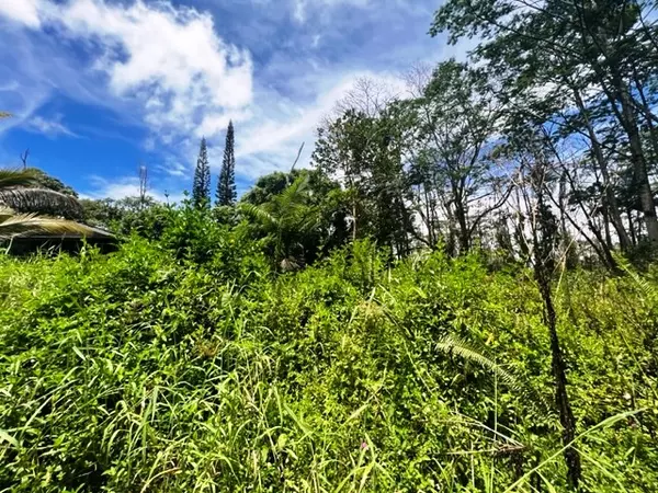 Kurtistown, HI 96760,KING KAMEHAMEHA BLVD