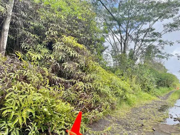 ROAD 11 (PULELEHUA), Kurtistown, HI 96760