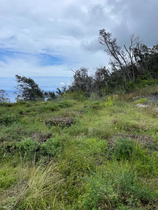 Captain Cook, HI 96704,87-436 KUKUI O PAE PL