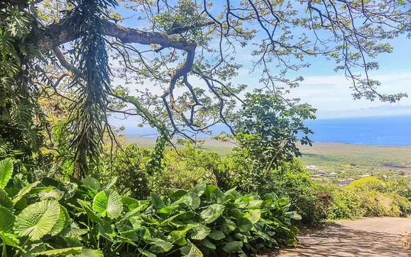 82-5854 NAPOOPOO RD, Captain Cook, HI 96704