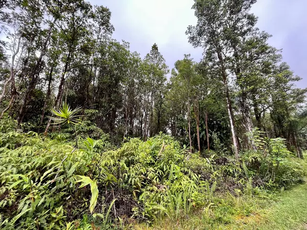 Mountain View, HI 96771,AHIUKAU ST