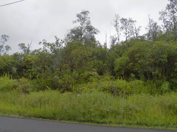 Kurtistown, HI 96760,POHAKU DR