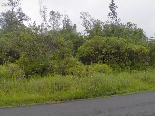 Kurtistown, HI 96760,POHAKU DR