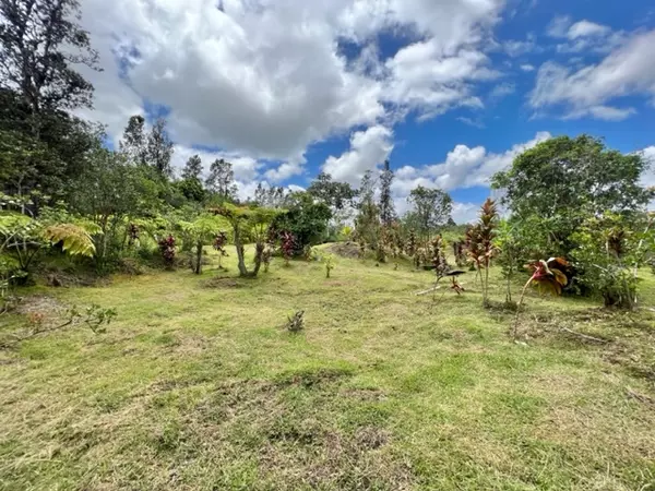 Kurtistown, HI 96760,16-1307 KOLOA MAOLI RD