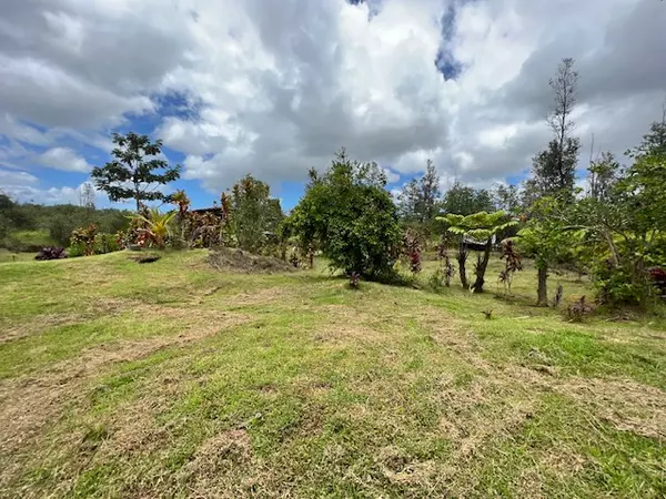 Kurtistown, HI 96760,16-1307 KOLOA MAOLI RD