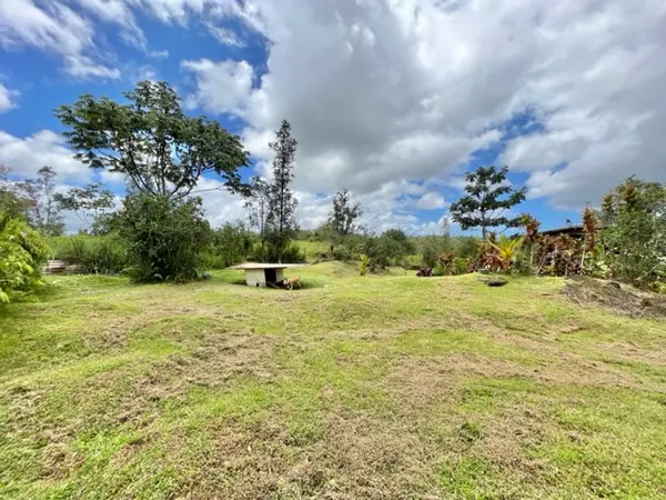 Kurtistown, HI 96760,16-1307 KOLOA MAOLI RD