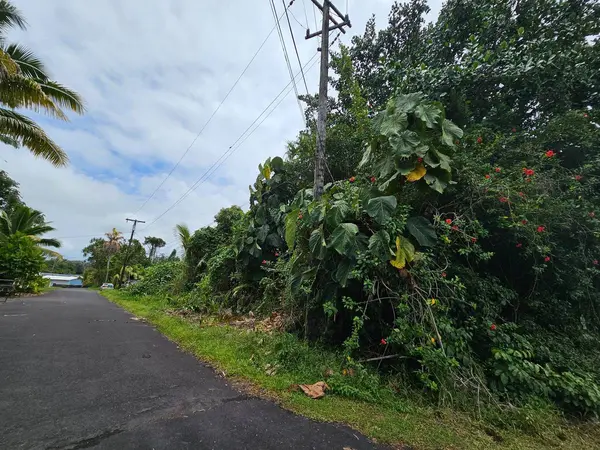 15-2710 PALANI ST, Pahoa, HI 96778