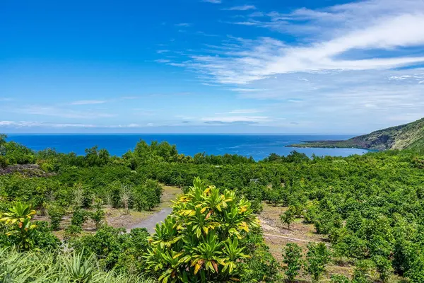 Captain Cook, HI 96704