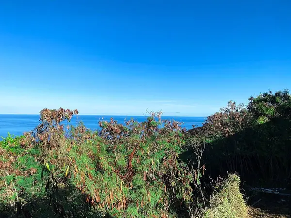 Captain Cook, HI 96704,87-3183 EA RD