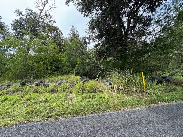 Ocean View, HI 96737,92-8857 LEHUA LN