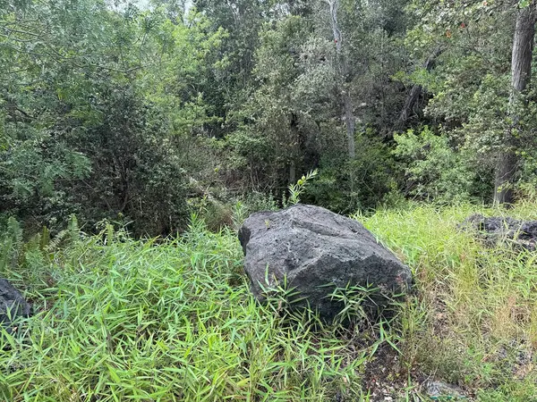 Ocean View, HI 96737,92-8857 LEHUA LN