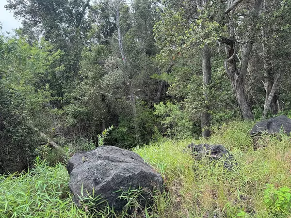 Ocean View, HI 96737,92-8857 LEHUA LN