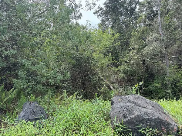 Ocean View, HI 96737,92-8857 LEHUA LN