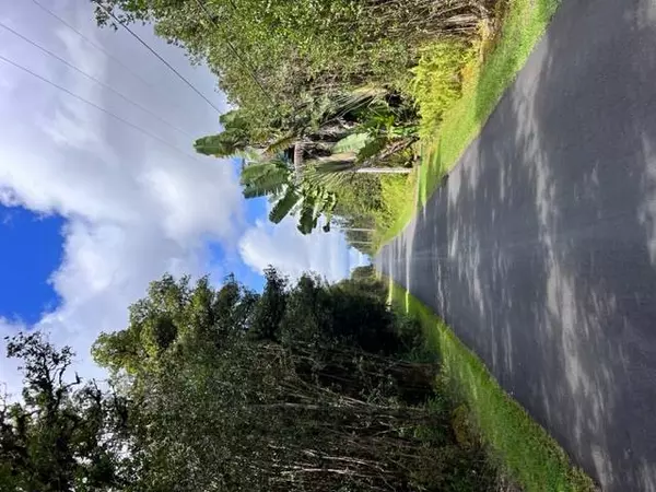 Mountain View, HI 96771,LEHUA ST