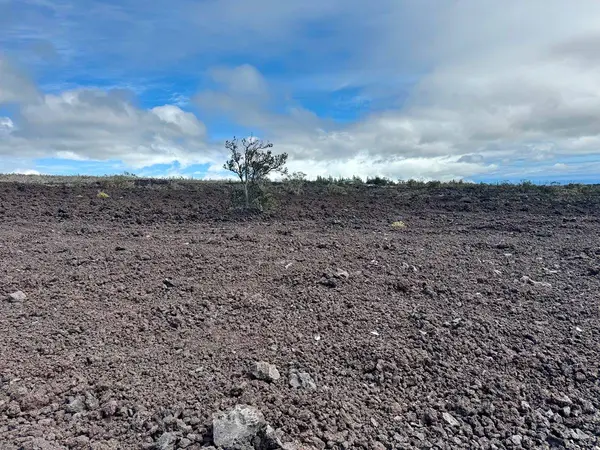 Ocean View, HI 96737,KING KALAKAUA LN