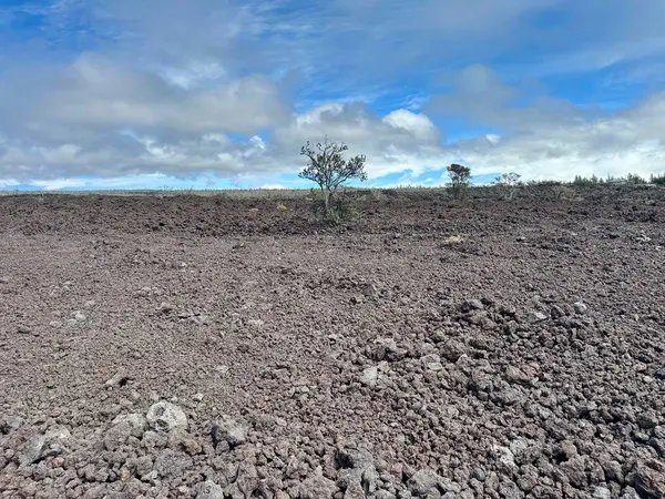 Ocean View, HI 96737,KING KALAKAUA LN