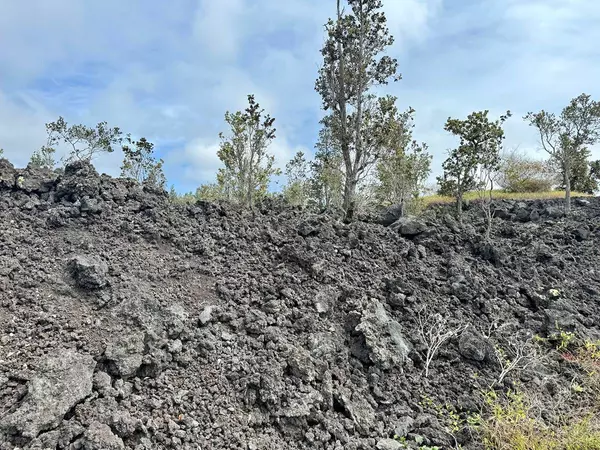 Ocean View, HI 96737,LOTUS BLOSSOM LN