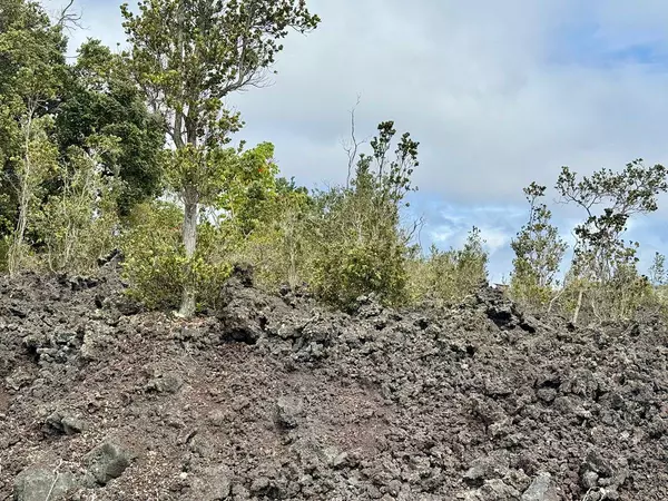 Ocean View, HI 96737,LOTUS BLOSSOM LN