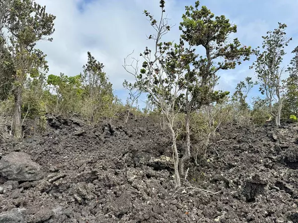 Ocean View, HI 96737,LOTUS BLOSSOM LN