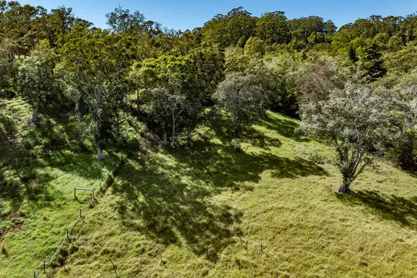 OLD STABLE RD, Paauilo, HI 96776