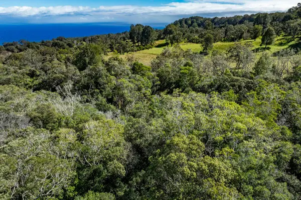 OLD STABLE RD, Paauilo, HI 96776