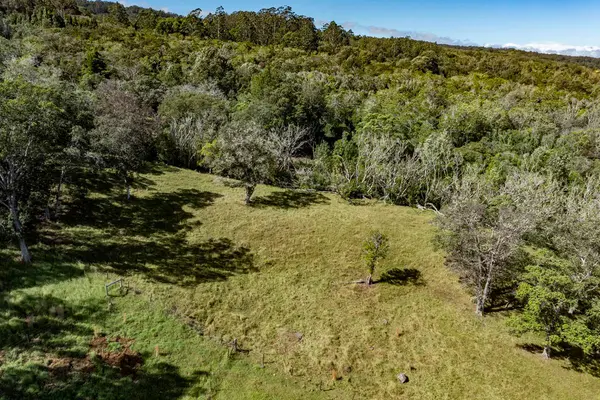 OLD STABLE RD, Paauilo, HI 96776